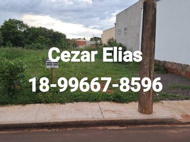 #218 - Área para Venda em Andradina - SP - 1