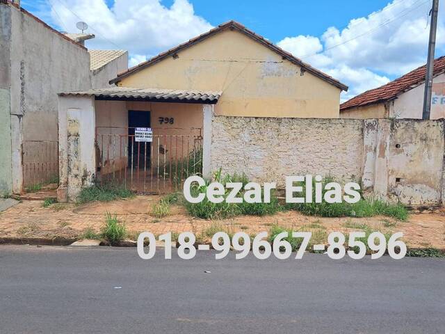 #225 - Área para Venda em Andradina - SP - 1