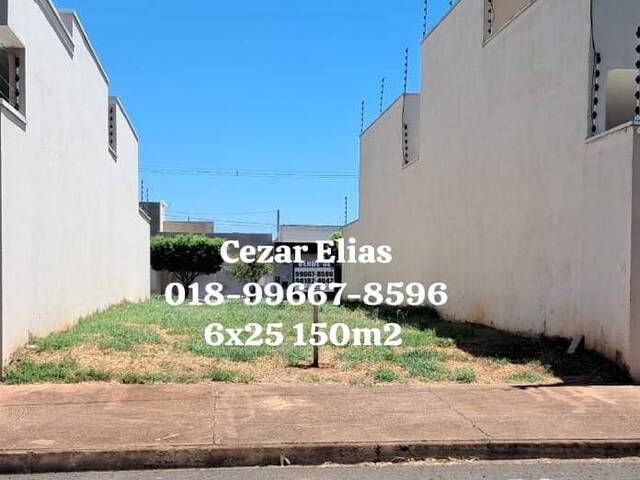 #238 - Área para Venda em Andradina - SP - 1