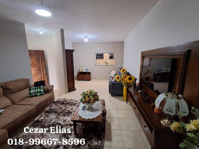 #240 - Casa para Venda em Andradina - SP - 3