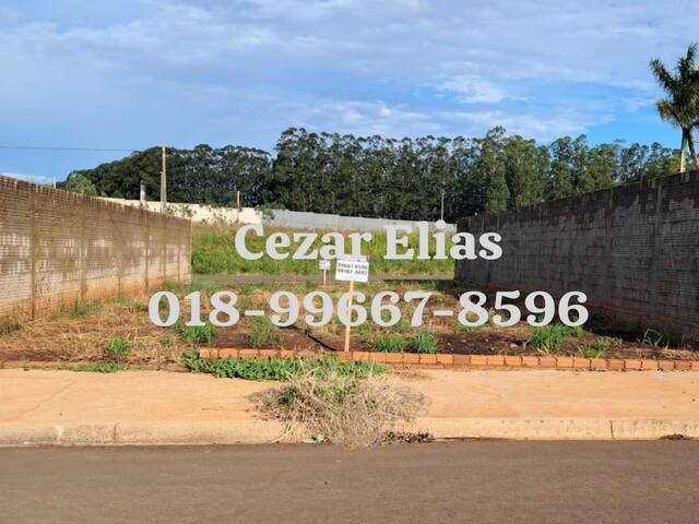 #242 - Área para Venda em Andradina - SP - 1