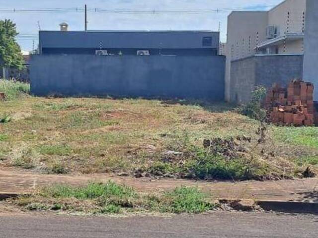 #247 - Área para Venda em Andradina - SP - 1