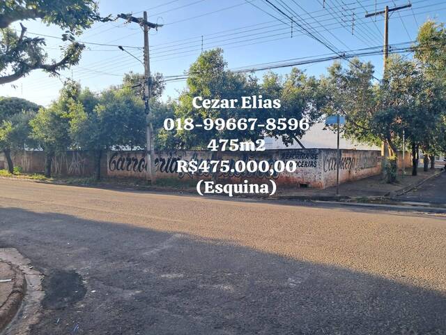 #253 - Área para Venda em Andradina - SP - 1
