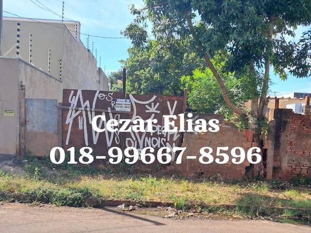 #254 - Área para Venda em Andradina - SP - 1