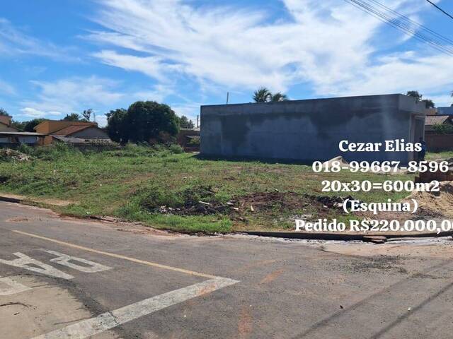 #256 - Área para Venda em Andradina - SP - 1