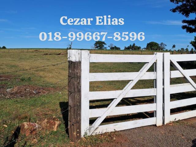 #257 - Chácara para Venda em Andradina - SP - 3