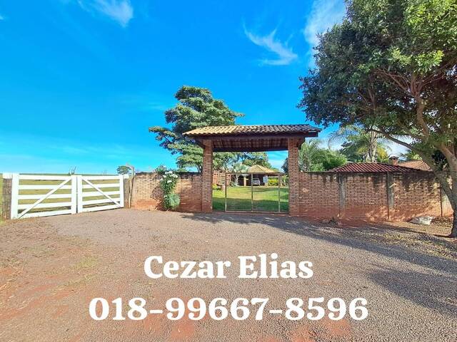 #257 - Chácara para Venda em Andradina - SP - 1