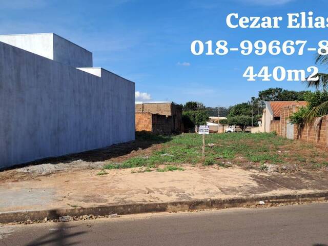 #261 - Área para Venda em Andradina - SP