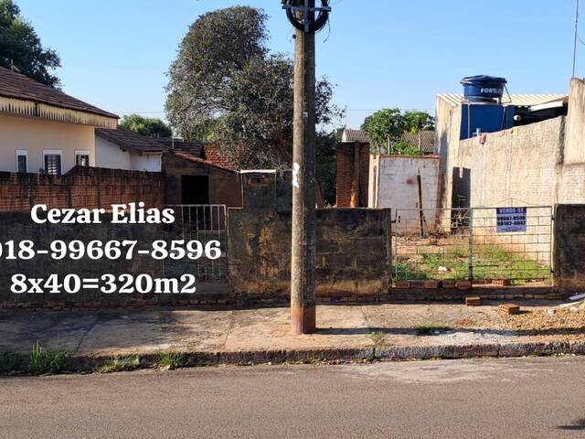 #264 - Área para Venda em Andradina - SP - 1