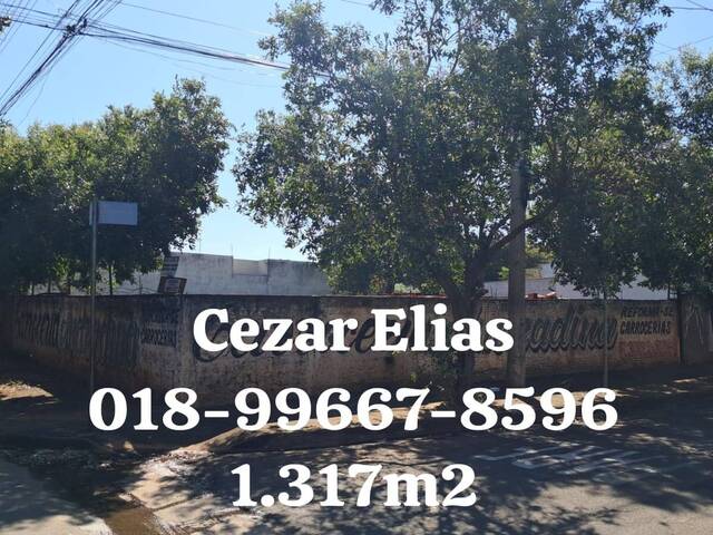 #253 - Área para Venda em Andradina - SP - 3