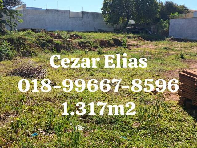 #253 - Área para Venda em Andradina - SP - 2