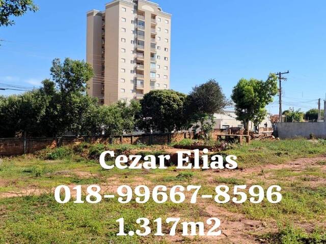 #253 - Área para Venda em Andradina - SP - 1