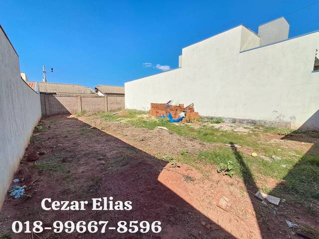 #292 - Casa para Venda em Andradina - SP - 2