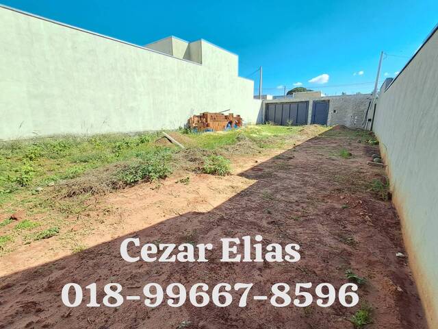 #292 - Casa para Venda em Andradina - SP - 3