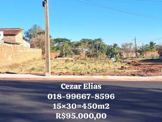 #289 - Área para Venda em Andradina - SP - 1