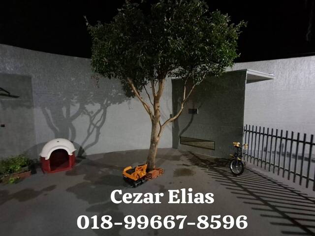 #245 - Casa para Venda em Castilho - SP - 2
