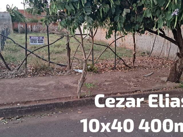 #297 - Área para Venda em Andradina - SP - 1