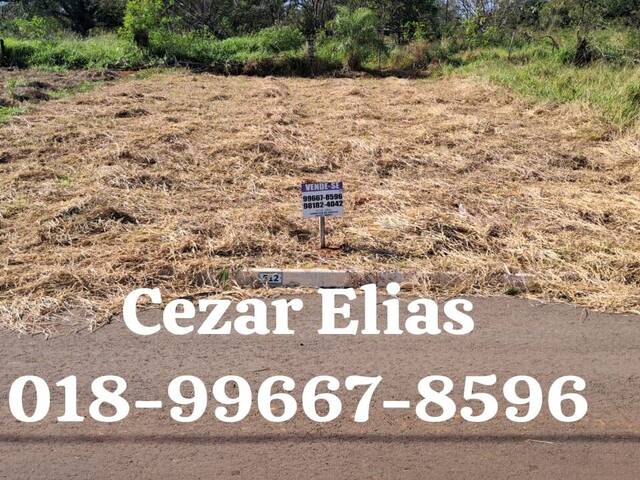 #300 - Área para Venda em Andradina - SP - 1