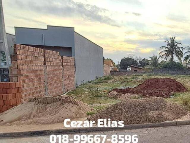 #301 - Área para Venda em Andradina - SP - 1