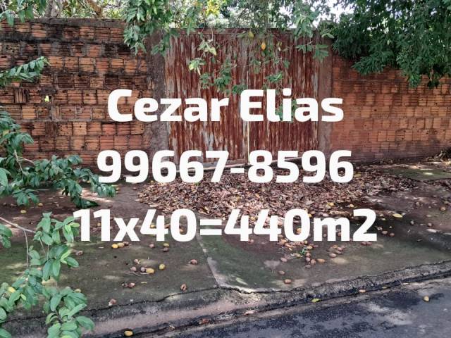 #341 - Área para Venda em Andradina - SP - 1