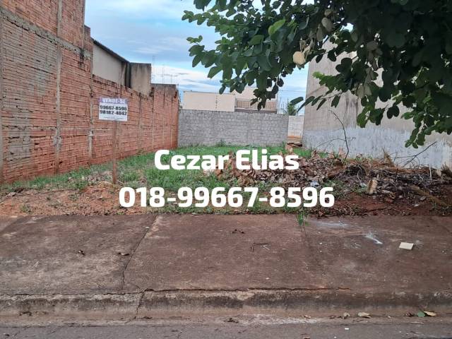 #349 - Área para Venda em Andradina - SP - 1