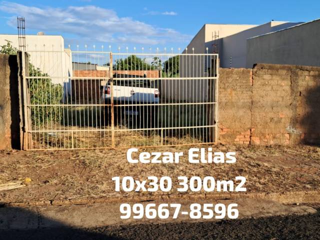 #361 - Área para Venda em Andradina - SP - 1