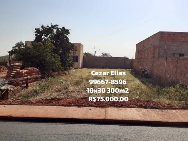 #372 - Área para Venda em Andradina - SP