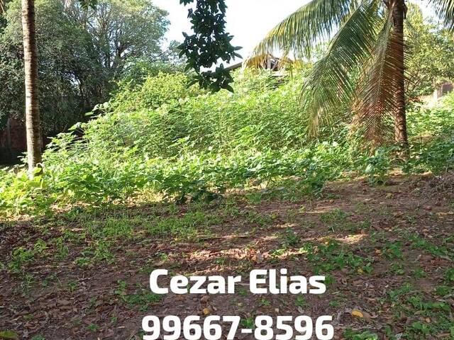 Chácara para Venda em Andradina - 2