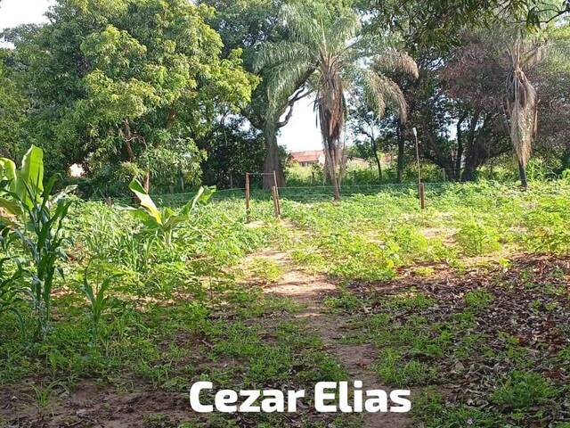 Chácara para Venda em Andradina - 3